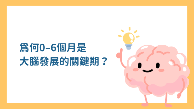 1. 為何0–6個月，是大腦發展的關鍵期？